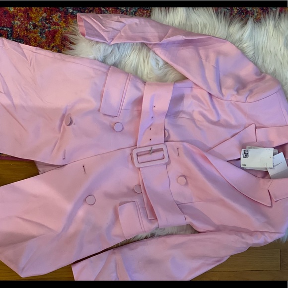 NWT &Other Stories Blogger Pink Blazer Dress - Picture 3 of 6